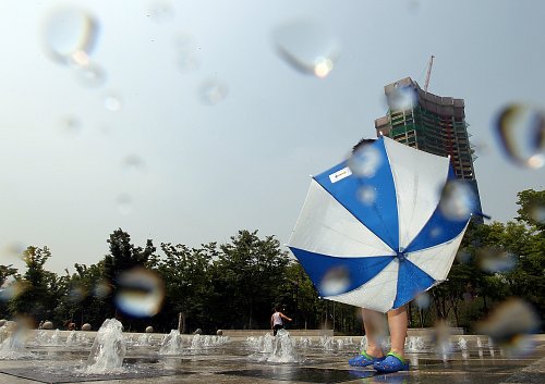 한국 네티즌본부카페 작성: ← 변조방지표시