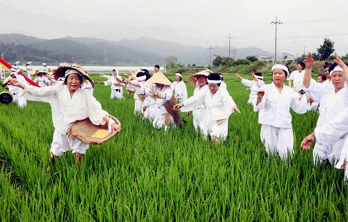 만든 곳→ 한국 네티즌본부카페