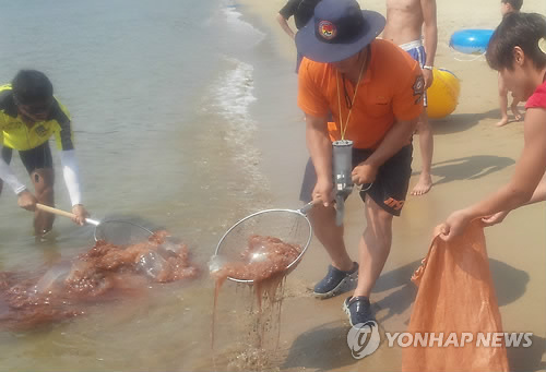 만든곳: 한국 네티즌본부 카페