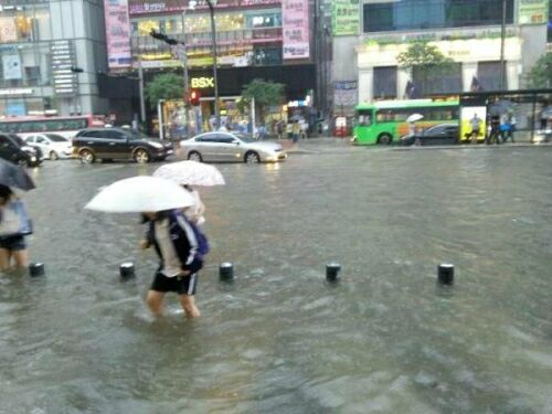 만든곳: 한국 네티즌본부 카페