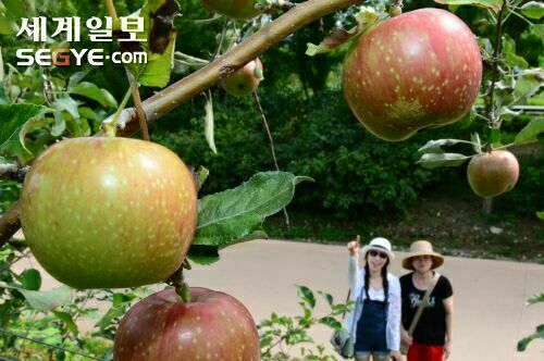 작성: 한국 네티즌본부