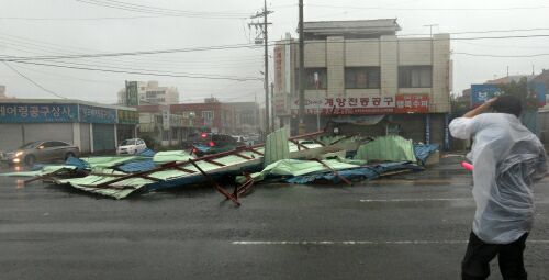 작성: 한국 네티즌본부