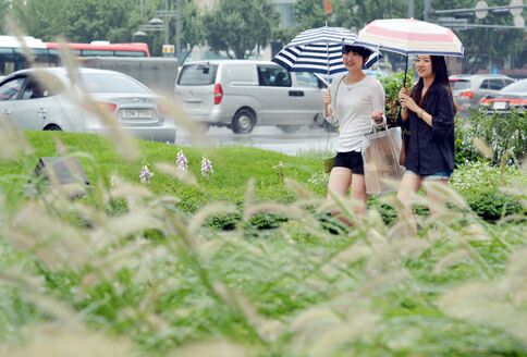 작성: 한국 네티즌본부