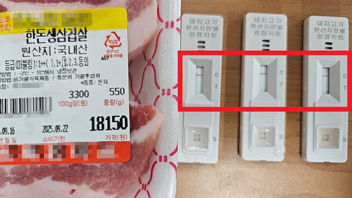 사진 이미지