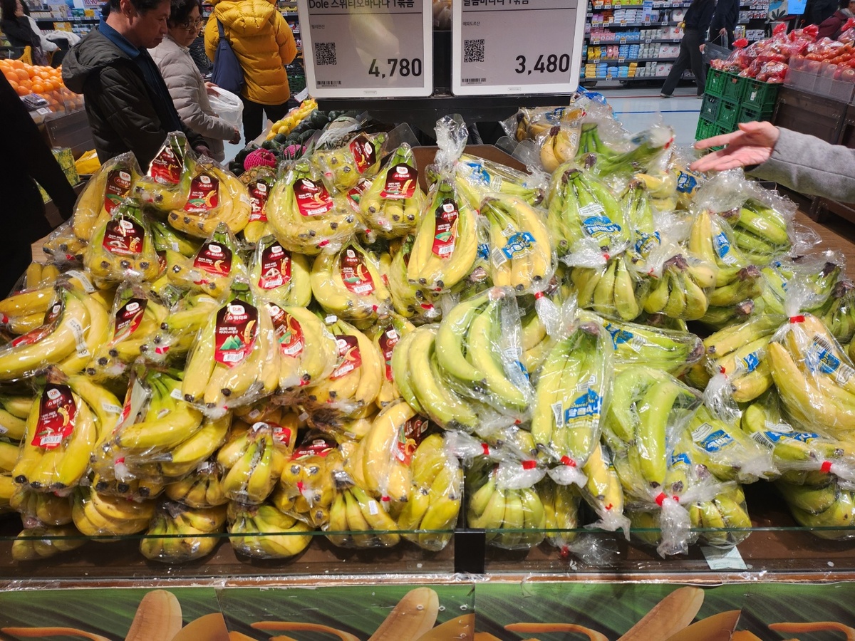 바나나 3000원대였는데 4700원… 할당관세 30%→5%에도 왜 비싸나