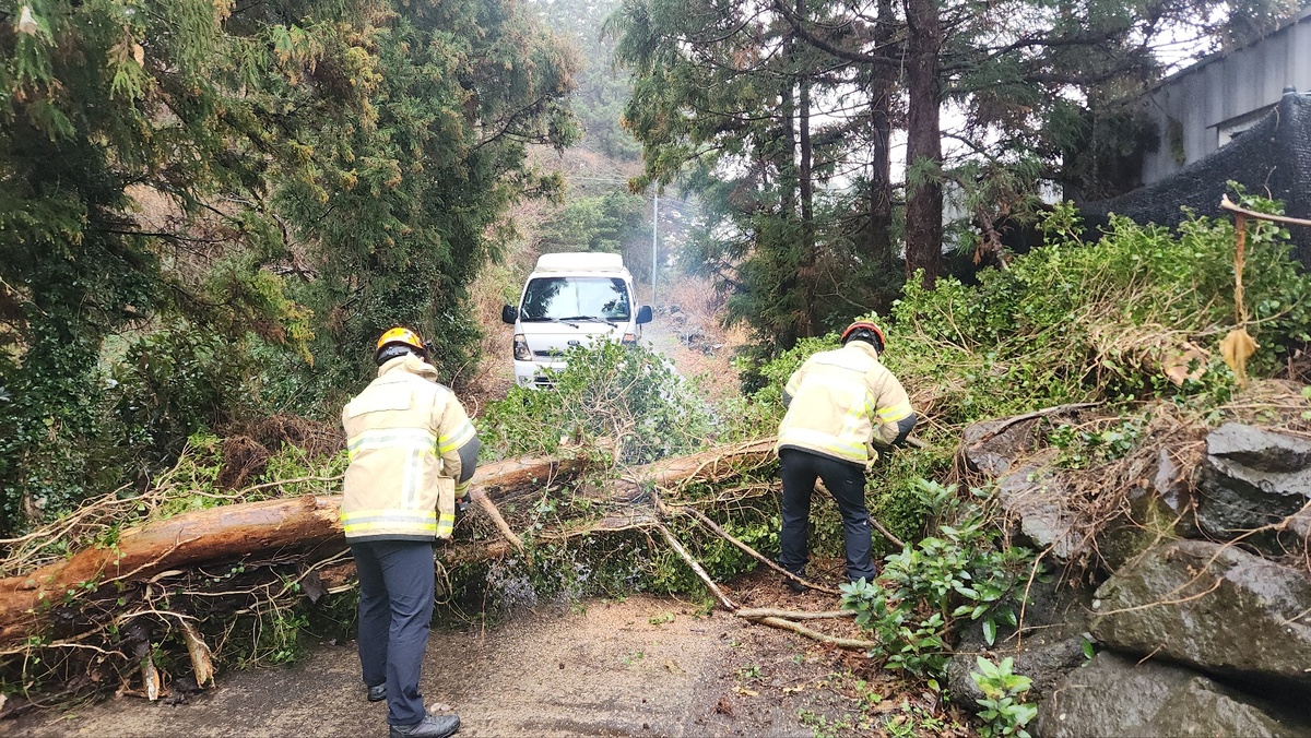 가로등·전신주 쓰러지고 건물 외장재 떨어지고… 연휴 마지막날 제주 강풍 피해 잇따라