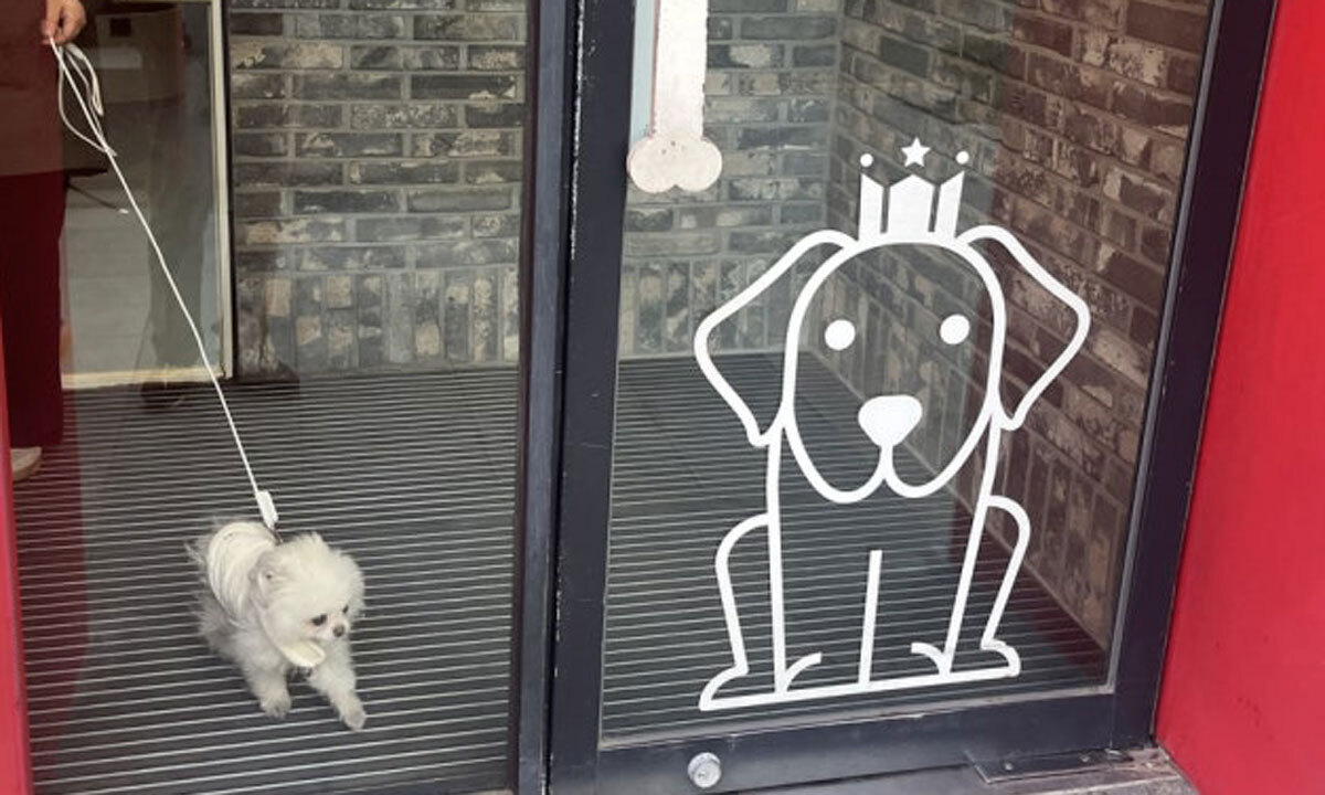 턱 높인 규제에… 반려동물 ‘반려’하는 골목식당