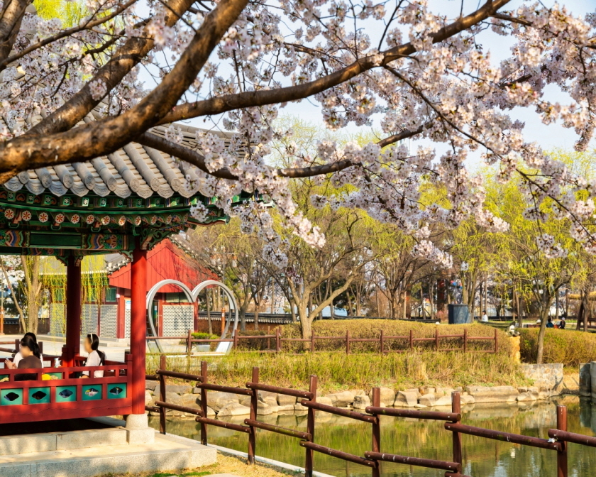 흐드러진 봄꽃에 취한다… 가족·연인 나들이 명소 어디 [인천]