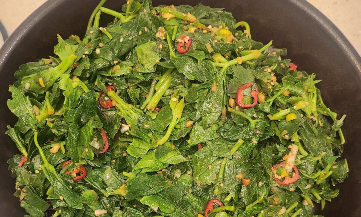 쌈밥 맛집 치트키 '방풍나물'…지금이 최고로 맛있는 '쿠마린' 덩어리, '1분'만 데치세요 [FOOD+]   