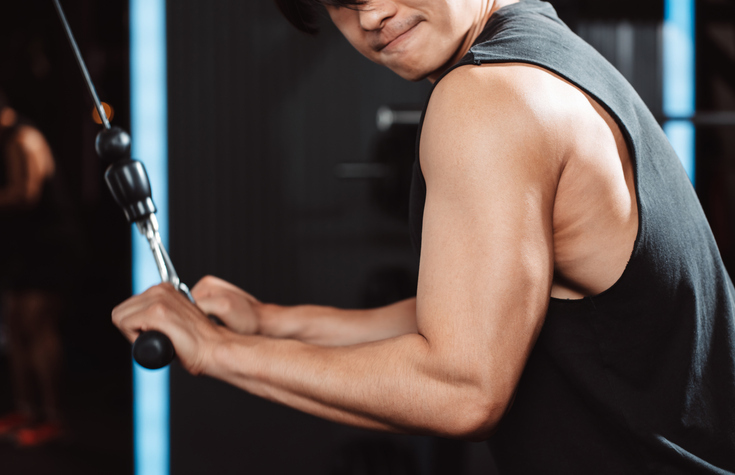 운동 후 단백질 보충, 채소로 해보세요…질리지 않고 매일 먹을 수 있습니다