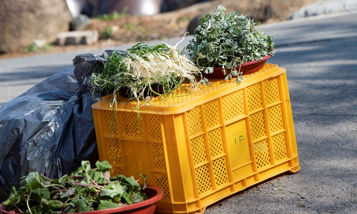 중금속, 씻어도 남는다…&${esc.h}34;쑥·냉이, 차라리 사 먹는 게 보약&${esc.h}34; [라이프+]