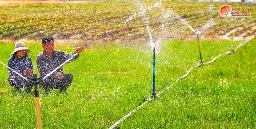 봄철 이례적 가뭄 장기화…밀·보리 생육 지장에 “모든 역량 총동원” [북*마크]
