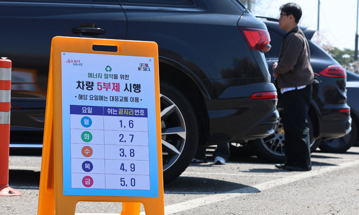 車부제 동참 보험료 2% 할인… 검증 방법 없어 논란