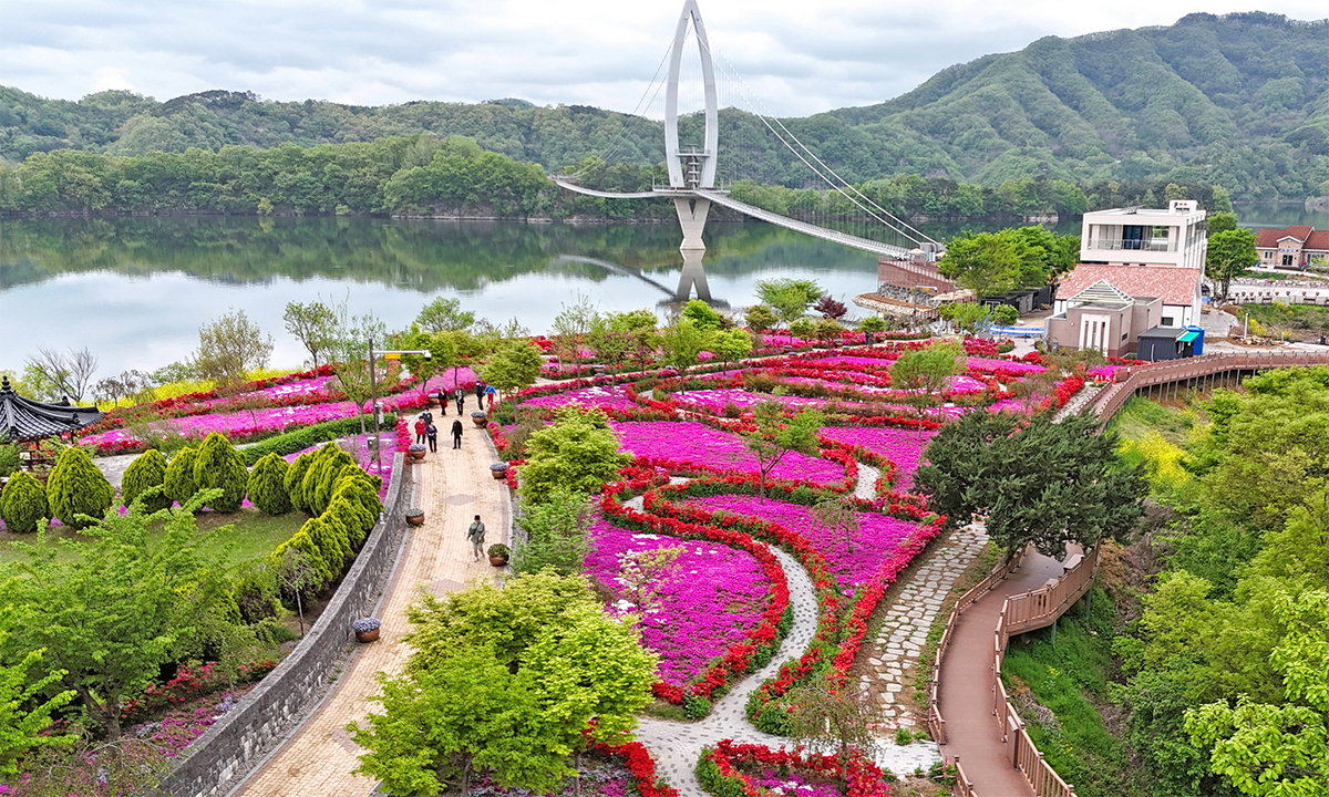 분홍빛 물든 옥정호 붕어섬 가면 동심으로 돌아가요