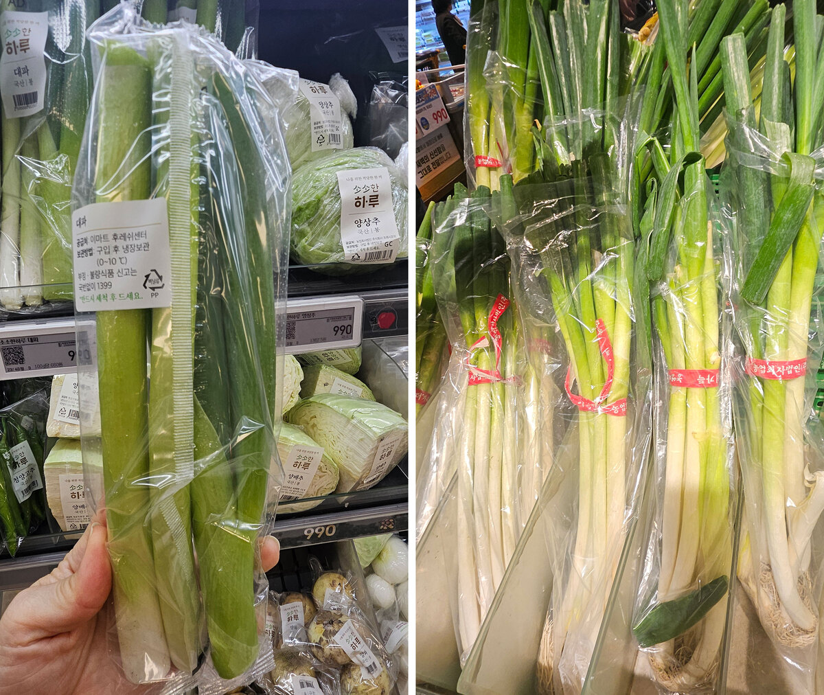 ‘흙대파 vs 소분 대파’ 뭘 사야 이득?…장 볼 때마다 고민된다면 [FOOD+]