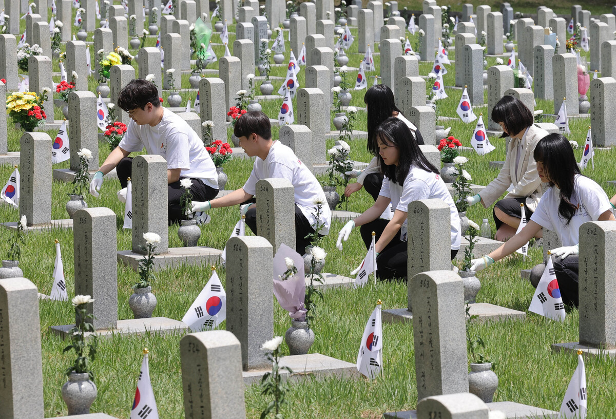 국화 한 송이 헌화 [한강로사진관]