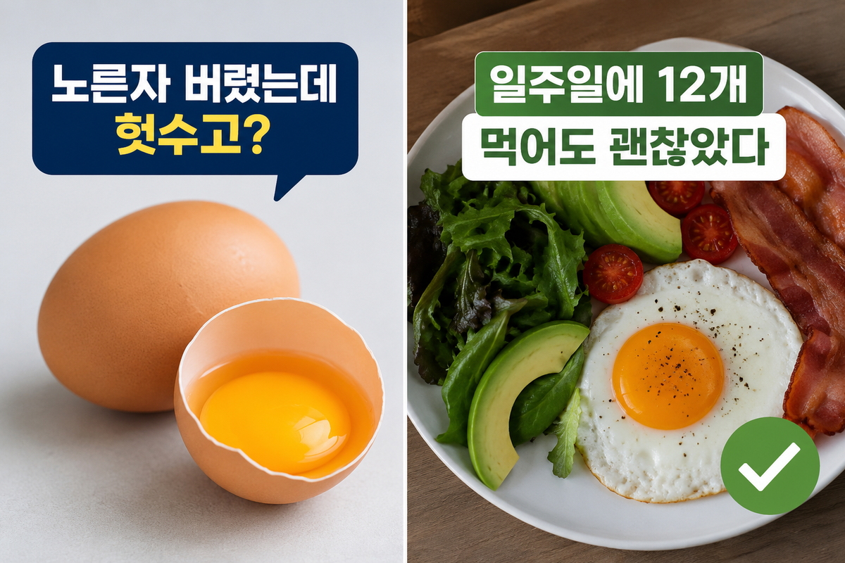 “노른자 버렸는데 헛수고?”…일주일에 12개 먹어도 괜찮았다