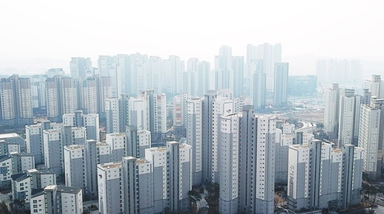 사진 이미지