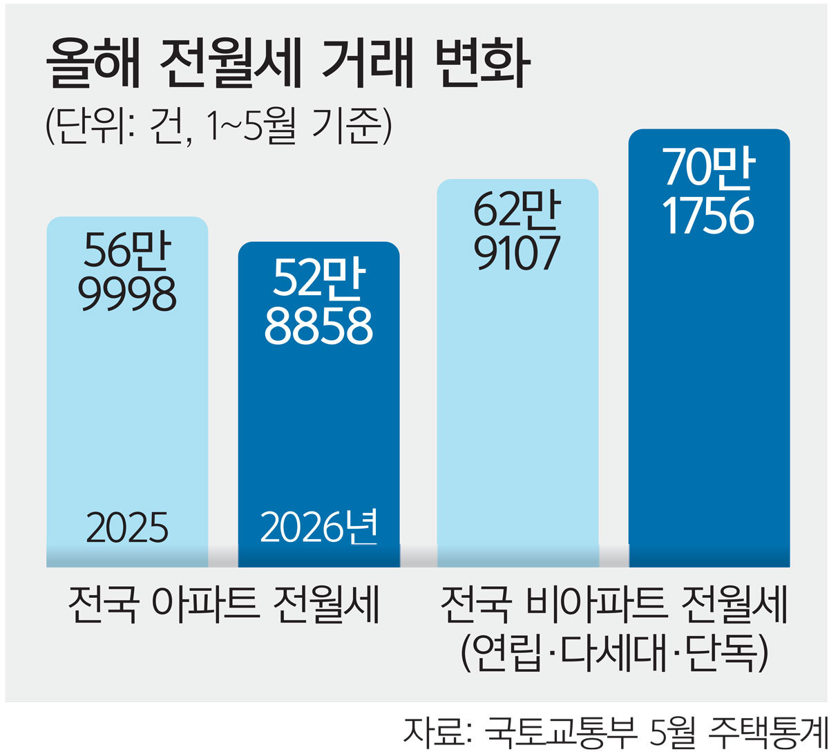 사진 이미지