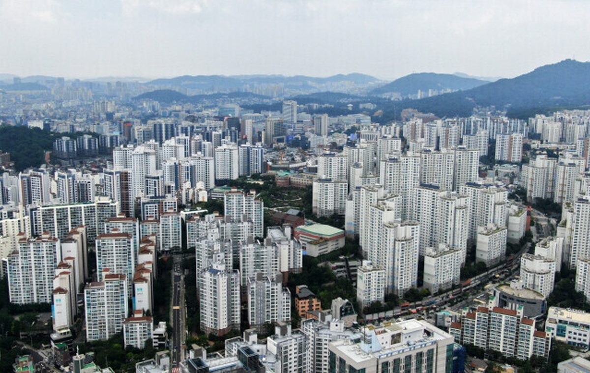 사진 이미지