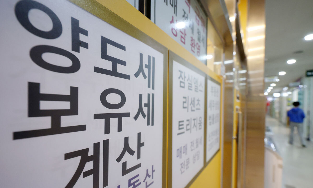 사진 이미지